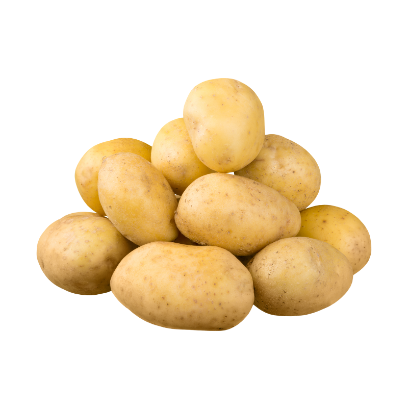 Potato